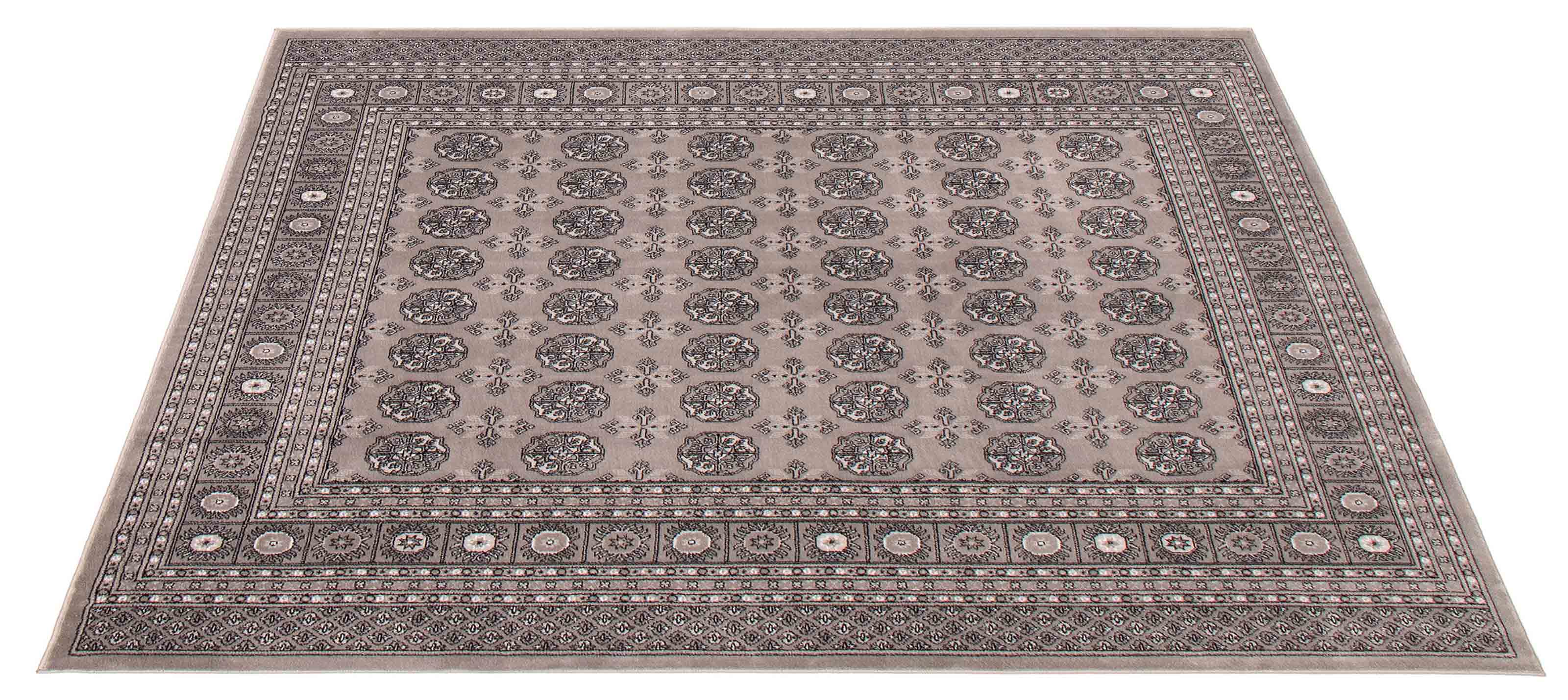 Bokhara Grey