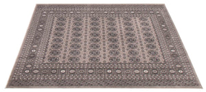 Bokhara Grey