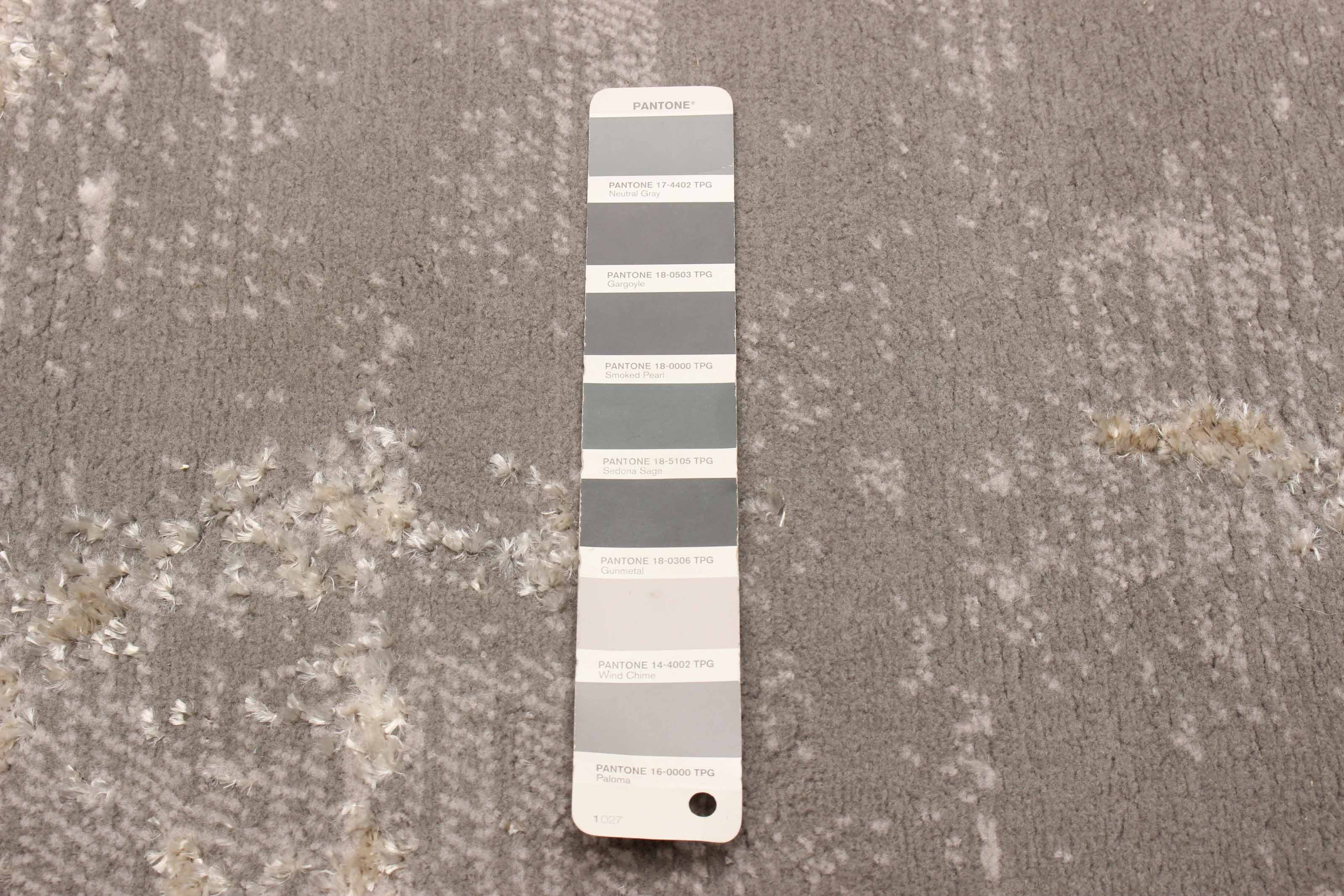 Emory Grey