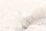 Load image into Gallery viewer, Echo Grey
