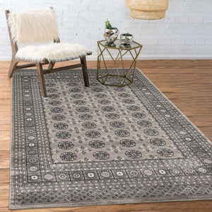 Bokhara Grey