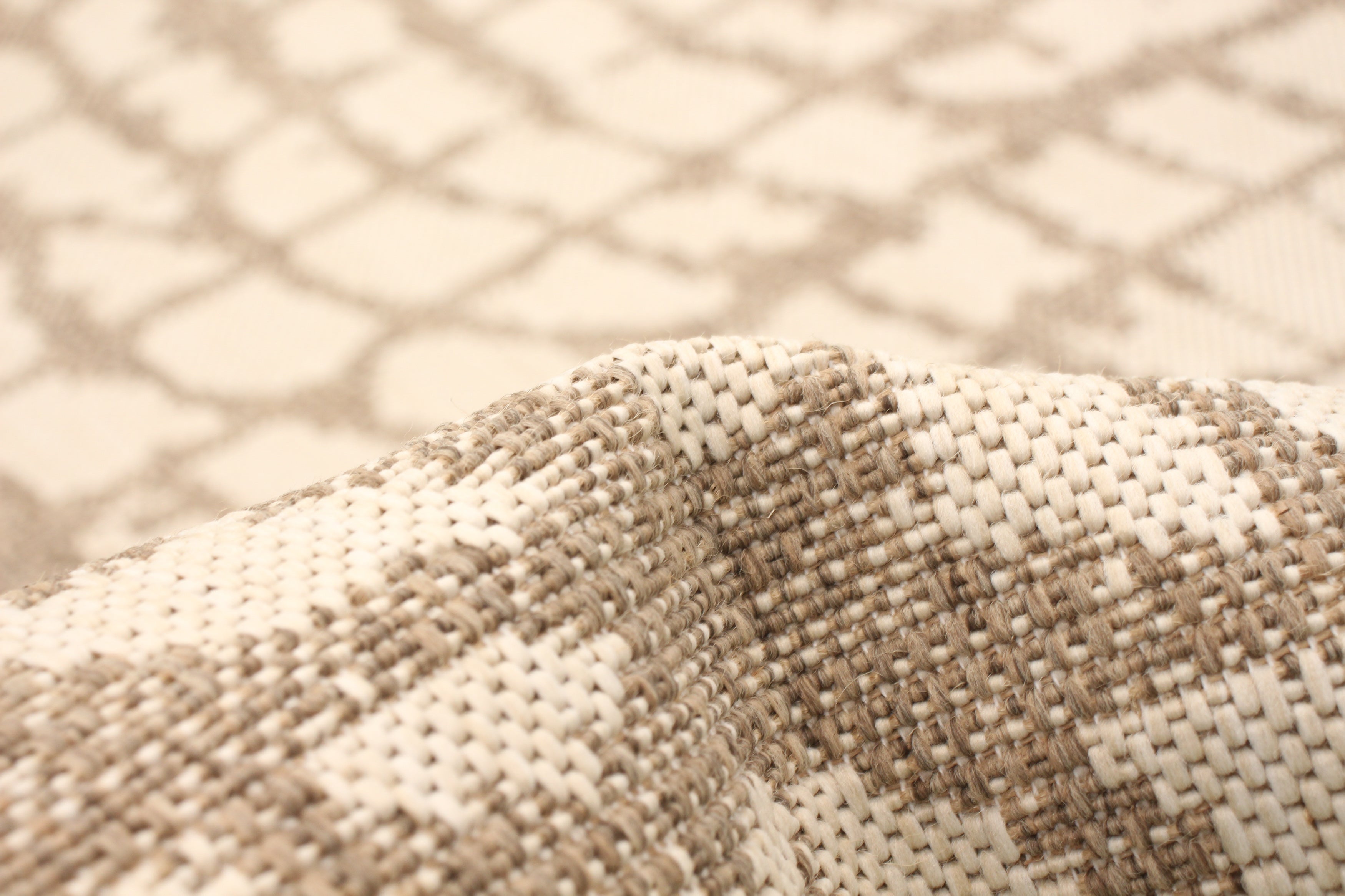 Sisal Safari Champagne-Taupe