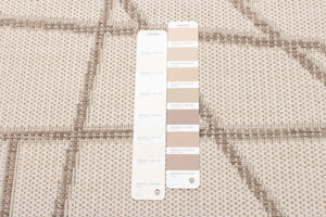 Sisal Abstract Champagne-Taupe