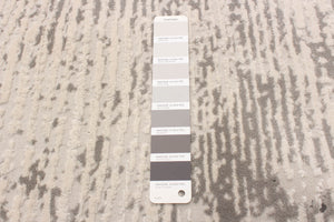 Stellar Light Grey