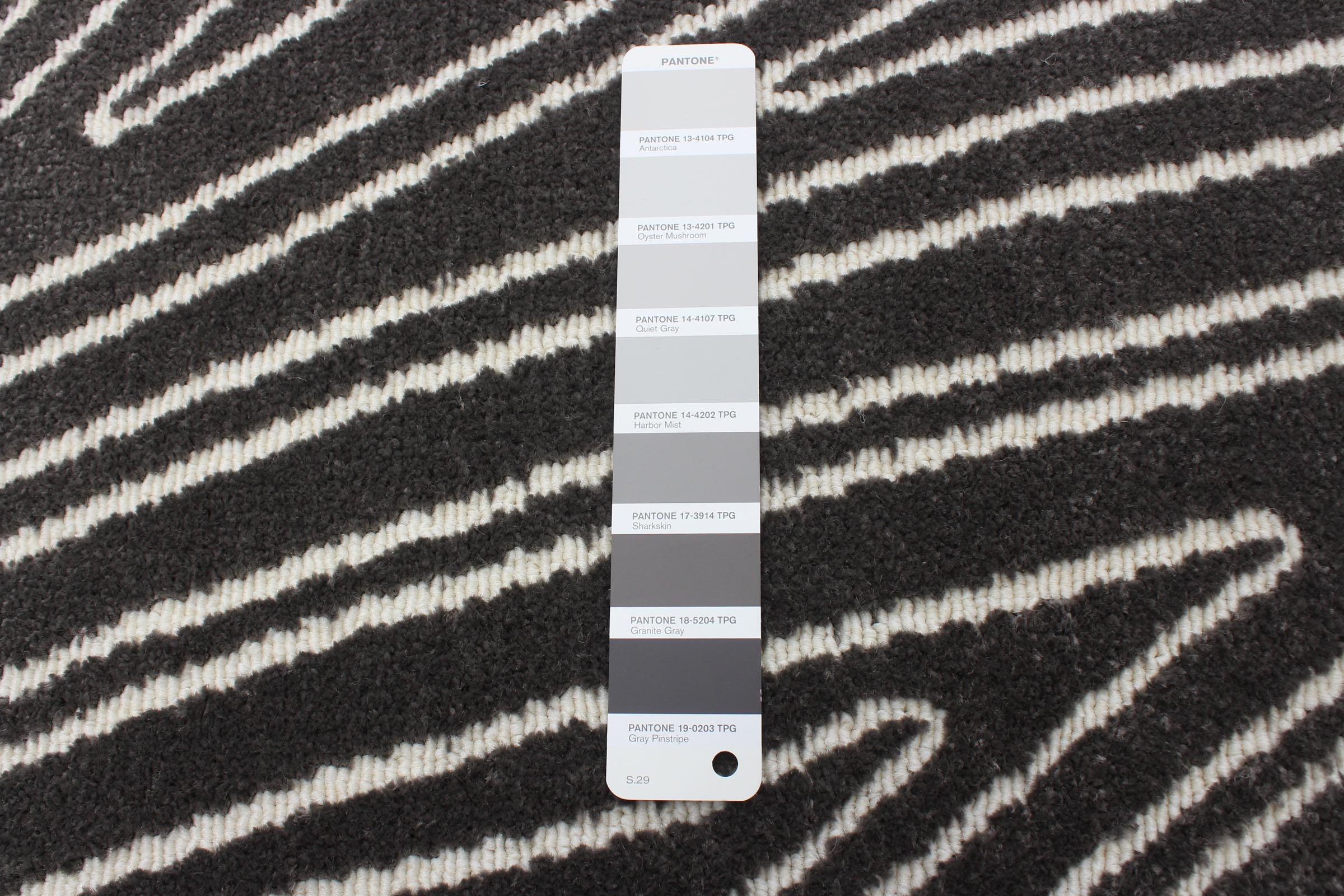 Vector Grey