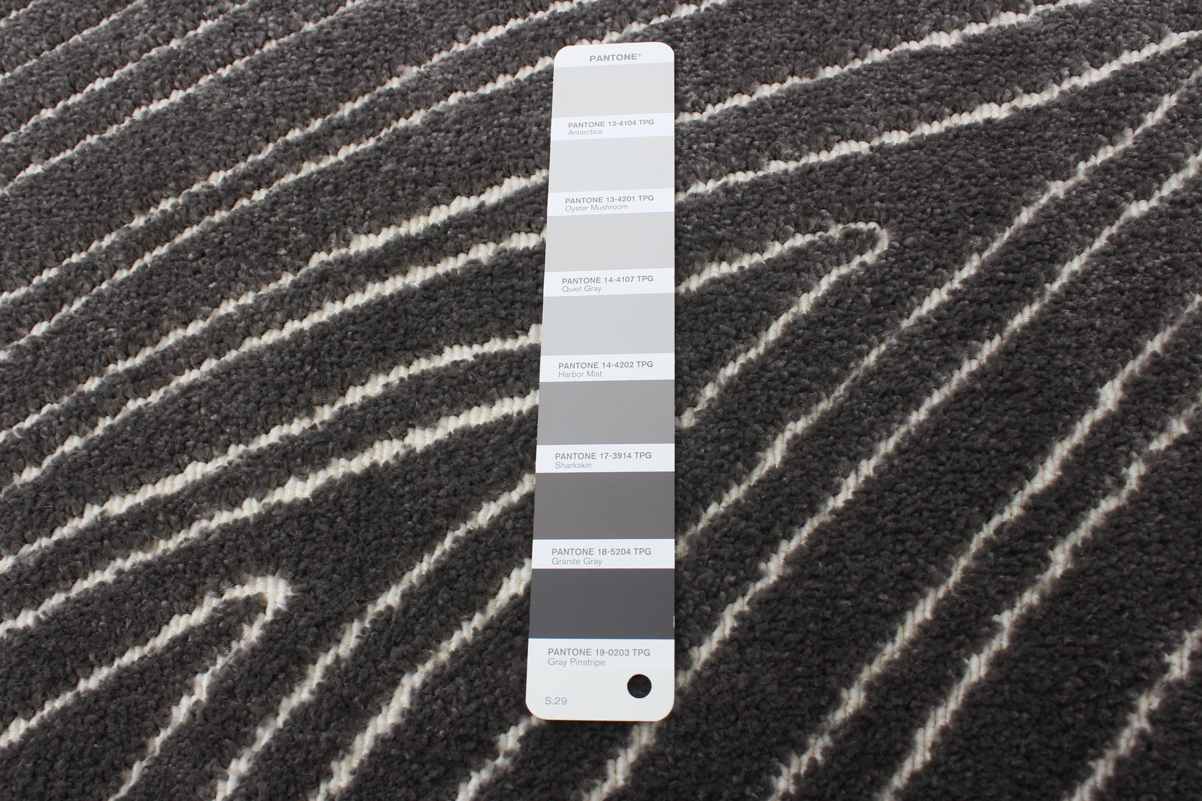 Vector Grey