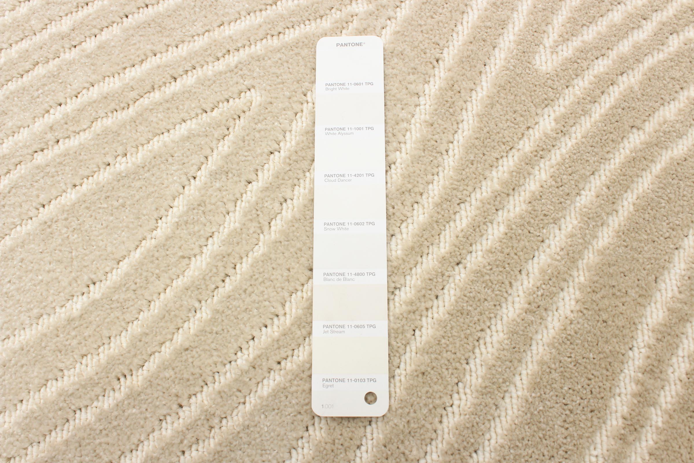 Vector Ivory