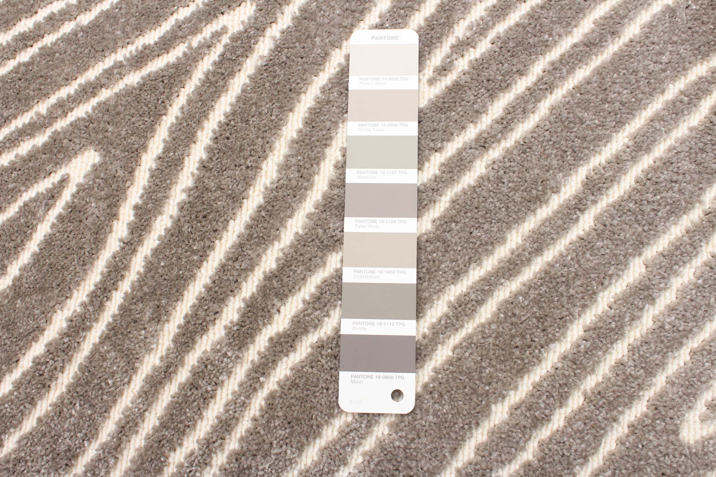 Vector Taupe