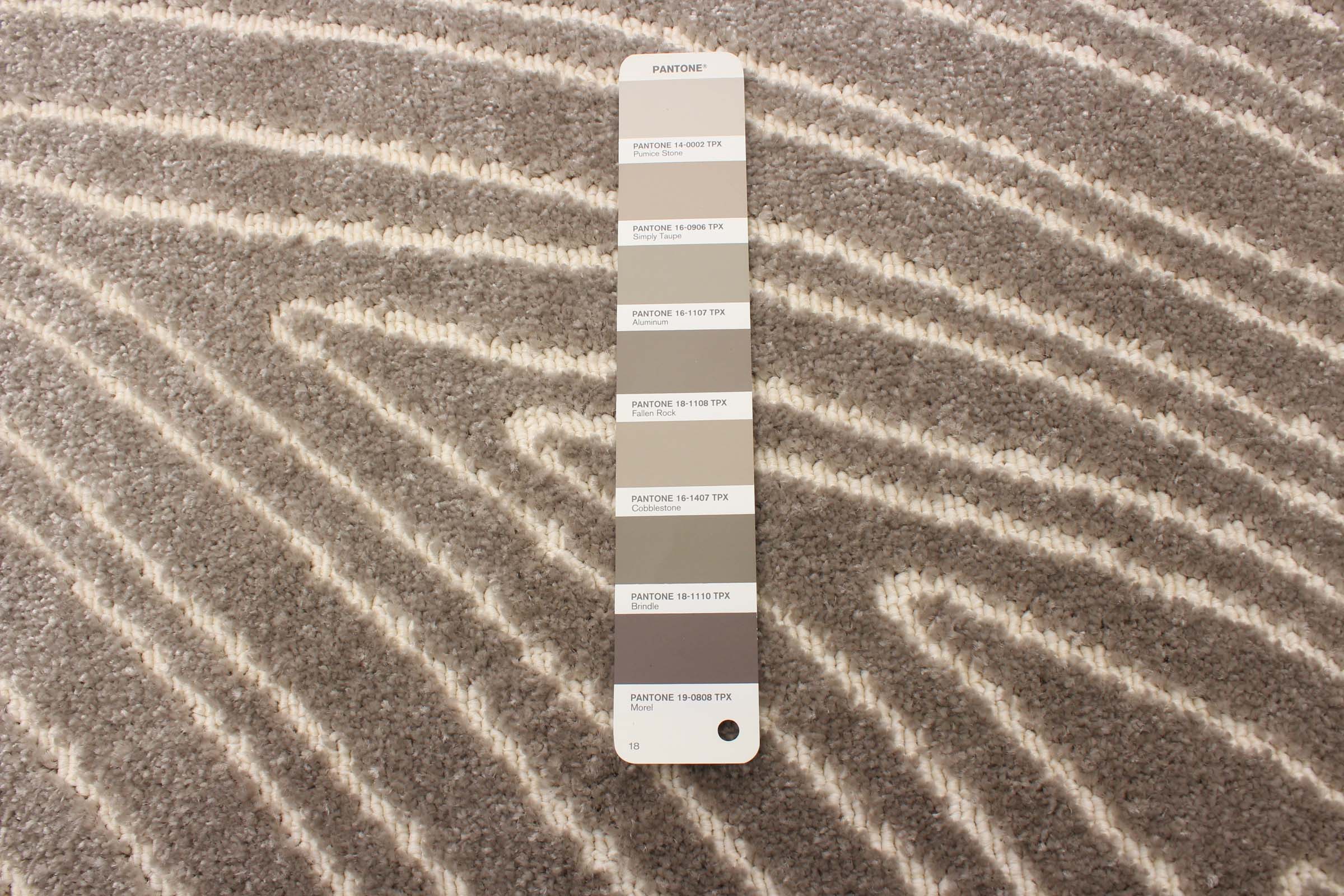 Vector Taupe