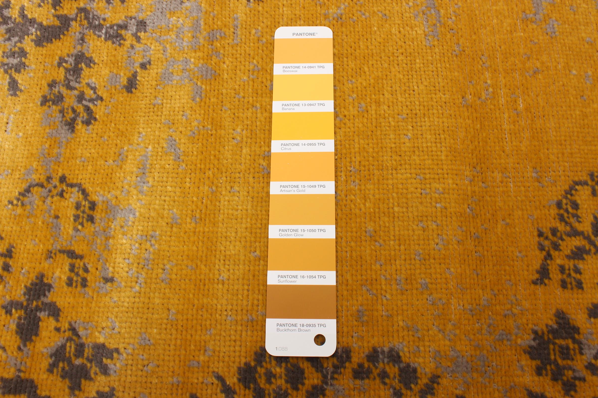 Dahlia Yellow