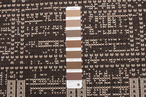 Solea Chocolate